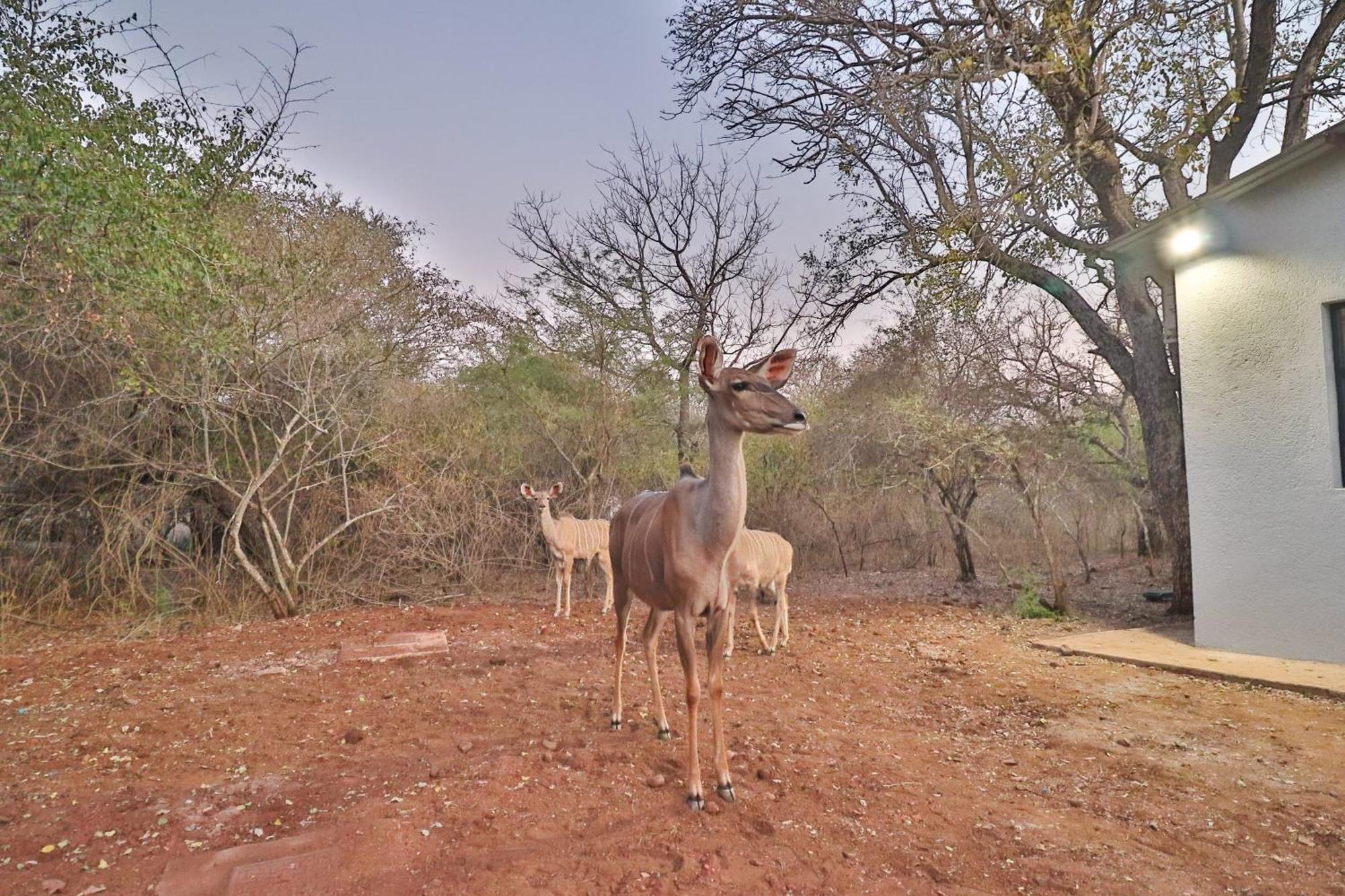 Kruger Stories At Marloth Villa Marloth Park